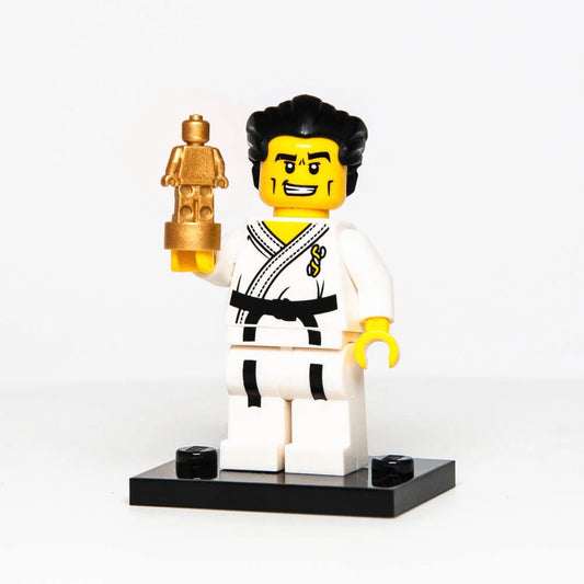 lego plastic building blocks minifigures collection 8684 series 2 karate master